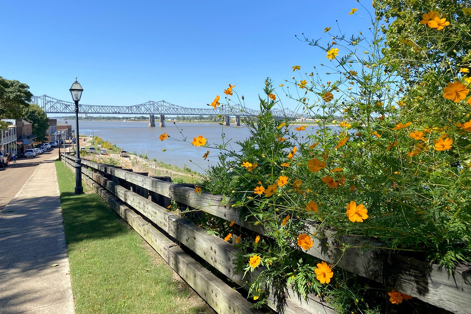 Mississippi:un viaggio gastronomico delle porzioni del sud 